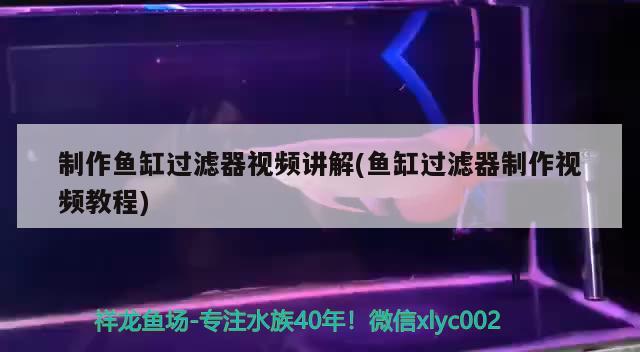 一個放置在陽光下的密閉的魚缸中,缸底有河泥,水中有水草和魚類等生物,它們構(gòu)成了－個自我平衡的生態(tài)系統(tǒng).請分析在一定時間內(nèi),該生態(tài)系統(tǒng)能夠保持動態(tài)平衡的原理.①有穩(wěn)定的 來源.②，描寫魚兒在水中嬉戲的段落 水草 第1張