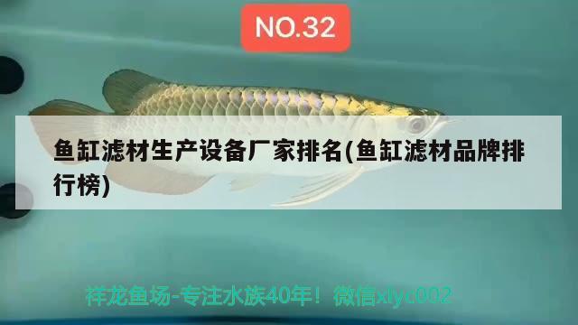 魚缸濾材生產(chǎn)設(shè)備廠家排名(魚缸濾材品牌排行榜) 銀古魚苗