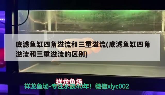 底濾魚缸四角溢流和三重溢流(底濾魚缸四角溢流和三重溢流的區(qū)別) 圣菲埃及魚