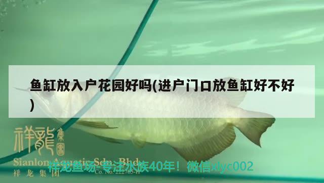 魚缸放入戶花園好嗎(進(jìn)戶門口放魚缸好不好) 三色錦鯉魚