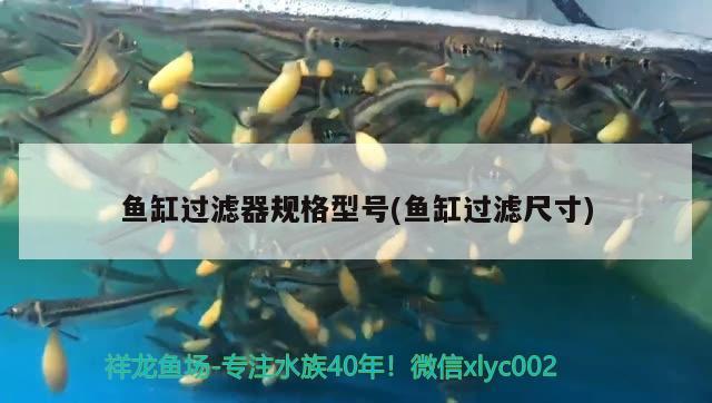 魚缸過濾器規(guī)格型號(魚缸過濾尺寸)