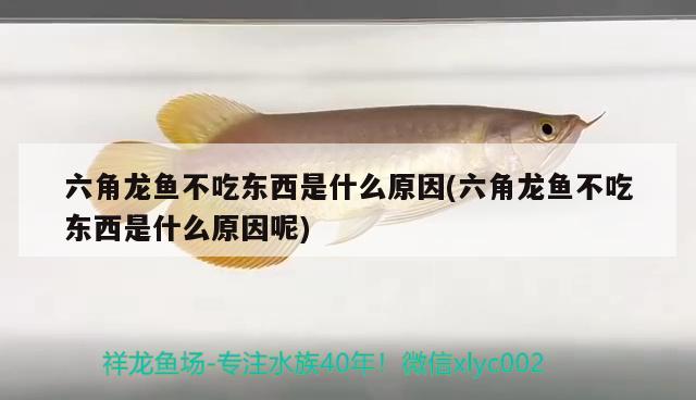 濰坊市坊子區(qū)魚(yú)翔淺底水族館  全國(guó)水族館企業(yè)名錄 第3張