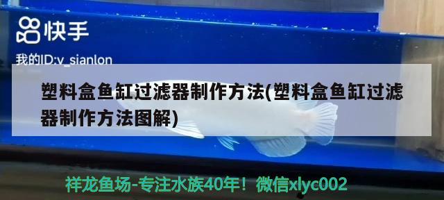 火烈鳥為什么是紅色的：火烈鳥為什么是紅色的羽毛