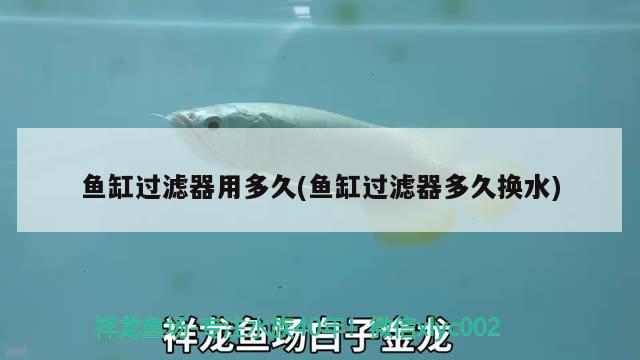 金龍魚(yú)是怎么繁殖的？，金龍魚(yú)是怎么孵化的，金龍魚(yú)是怎么繁殖的 觀賞魚(yú)企業(yè)目錄 第1張