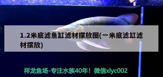 1.2米底濾魚(yú)缸濾材擺放圖(一米底濾缸濾材擺放) 帝王血鉆