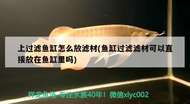 上過濾魚缸怎么放濾材(魚缸過濾濾材可以直接放在魚缸里嗎)