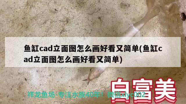 魚缸cad立面圖怎么畫好看又簡(jiǎn)單(魚缸cad立面圖怎么畫好看又簡(jiǎn)單)