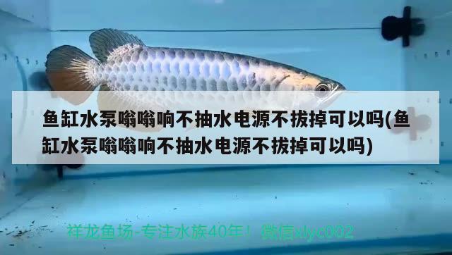 魚缸水泵嗡嗡響不抽水電源不拔掉可以嗎(魚缸水泵嗡嗡響不抽水電源不拔掉可以嗎) 魚缸水泵 第2張