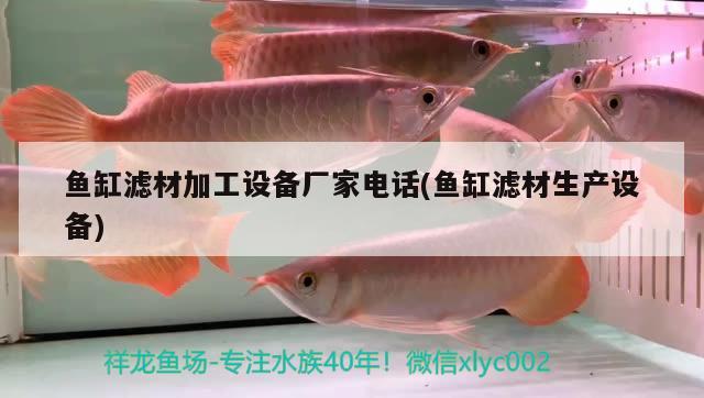 超白魚缸品牌十大排名圖片(國內(nèi)最好的超白缸品牌)