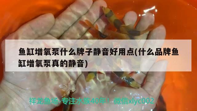 呂梁水族批發(fā)市場(chǎng)地址電話是多少?。▍瘟鹤畲笏l(fā)市場(chǎng)）