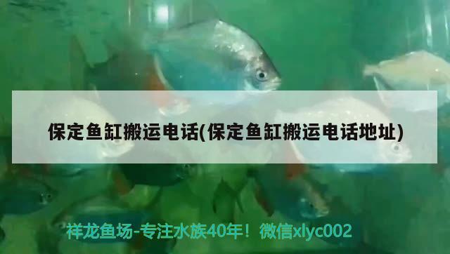 彩蝶魚缸溢流區(qū)降噪（彩蝶魚缸怎么降低水位）