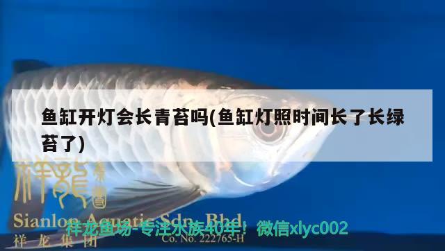 魚(yú)缸開(kāi)燈會(huì)長(zhǎng)青苔嗎(魚(yú)缸燈照時(shí)間長(zhǎng)了長(zhǎng)綠苔了)