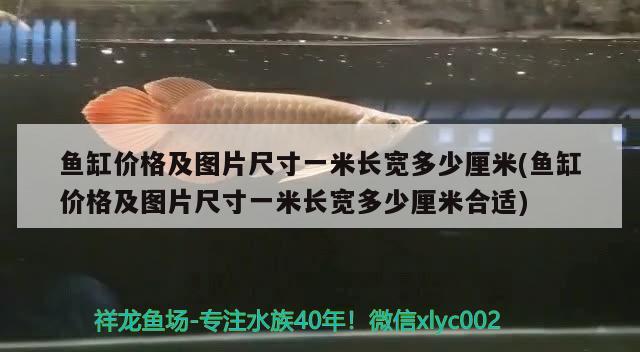 魚缸價格及圖片尺寸一米長寬多少厘米(魚缸價格及圖片尺寸一米長寬多少厘米合適) 印尼小紅龍