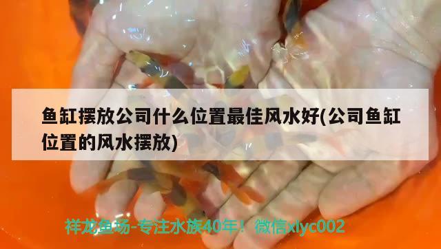 魚缸擺放公司什么位置最佳風(fēng)水好(公司魚缸位置的風(fēng)水?dāng)[放) 魚缸風(fēng)水