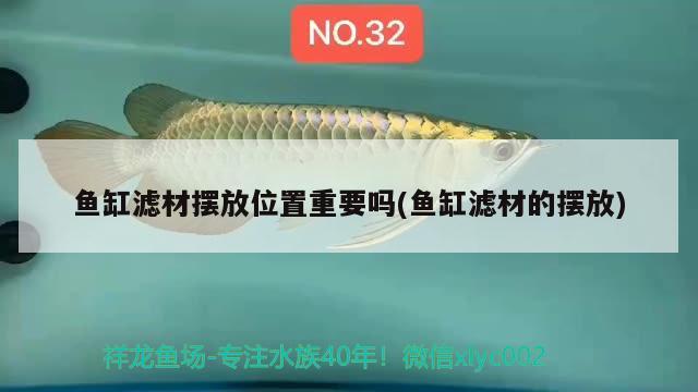 紅彩虹蝴蝶魚能和南美混養(yǎng)嗎（彩虹魚可以和金魚混養(yǎng)嗎） 蝴蝶鯉 第3張