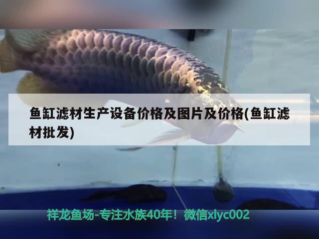 魚缸的擺放有什么要求(魚缸的擺放有什么要求嘛)