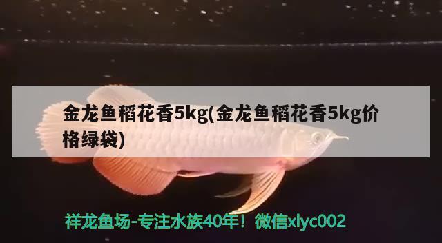 金龍魚稻花香5kg(金龍魚稻花香5kg價格綠袋) 福虎/異型虎魚/純色虎魚 第1張