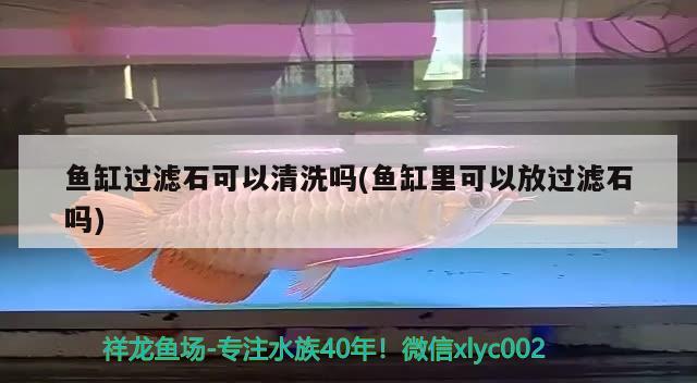 魚缸過濾石可以清洗嗎(魚缸里可以放過濾石嗎) 金龍魚糧