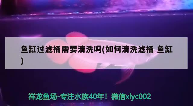 魚缸過濾桶需要清洗嗎(如何清洗濾桶魚缸) 元寶鳳凰魚專用魚糧 第3張