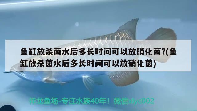 魚缸放殺菌水后多長時間可以放硝化菌?(魚缸放殺菌水后多長時間可以放硝化菌) 鐵甲武士