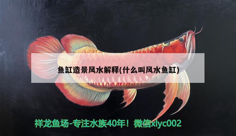 魚缸造景風(fēng)水解釋(什么叫風(fēng)水魚缸) 魚缸風(fēng)水 第2張