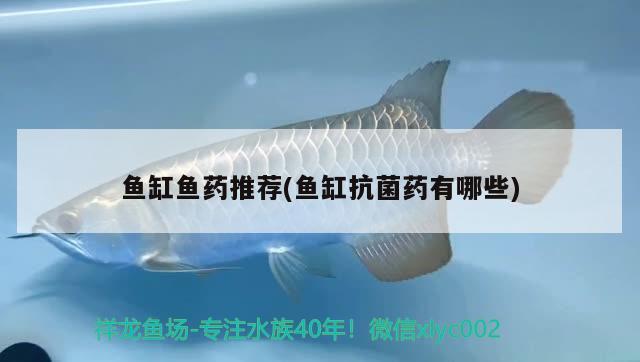 白山二手魚缸出售電話地址在哪里：白山二手魚缸出售電話地址在哪里啊