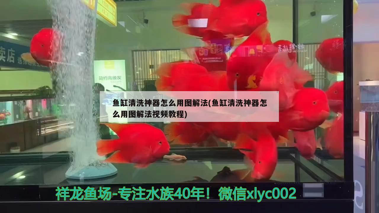 魚缸清洗神器怎么用圖解法(魚缸清洗神器怎么用圖解法視頻教程)