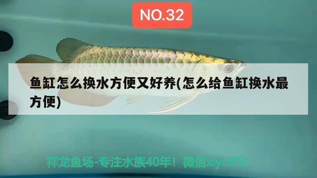 魚缸怎么換水方便又好養(yǎng)(怎么給魚缸換水最方便) 祥龍金禾金龍魚