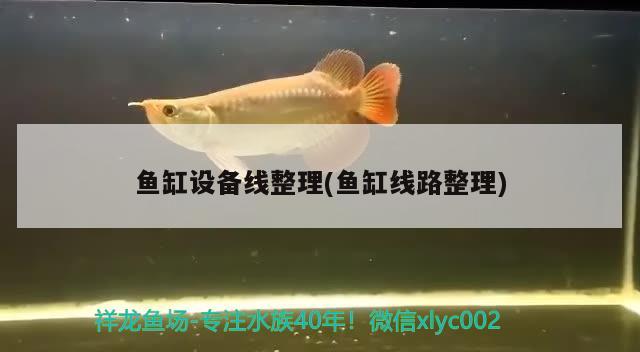 魚缸設(shè)備線整理(魚缸線路整理)