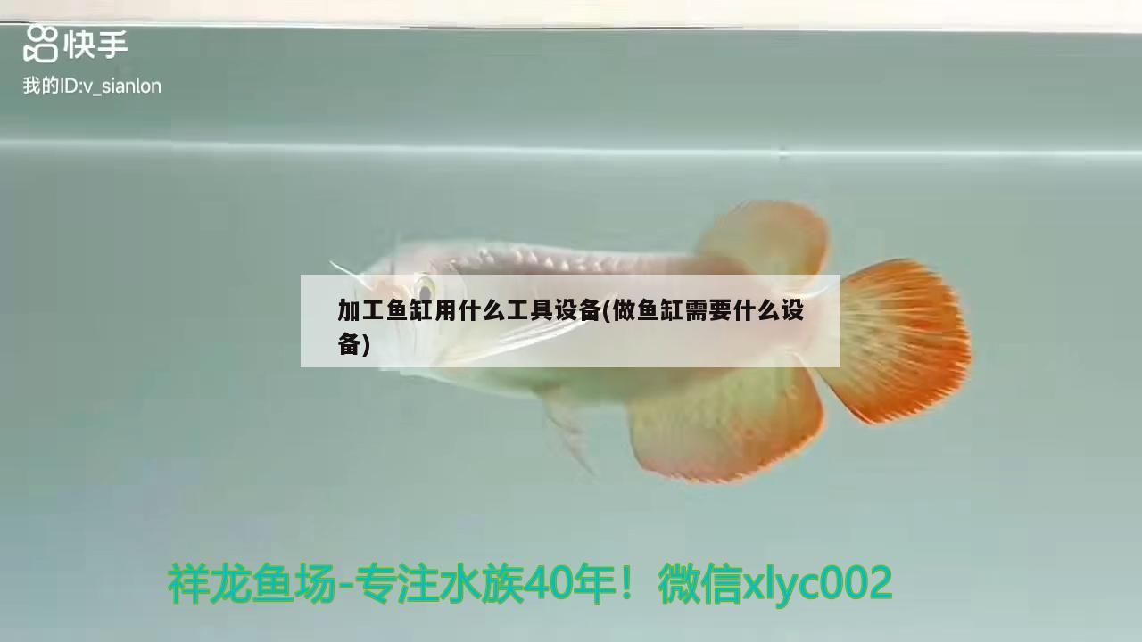 什么是魚缸殺菌燈具 魚缸殺菌燈好用嗎 養(yǎng)魚的好處 第1張