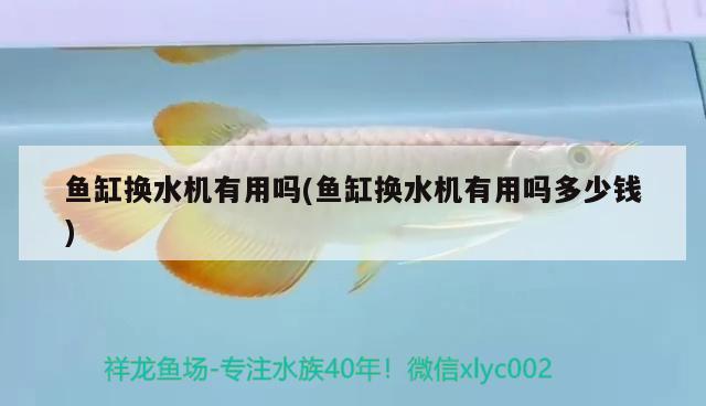 魚缸換水機有用嗎(魚缸換水機有用嗎多少錢) 水族維護服務(wù)（上門）