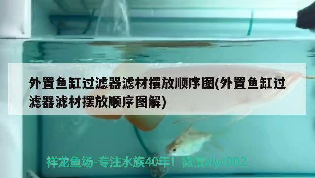 外置魚缸過濾器濾材擺放順序圖(外置魚缸過濾器濾材擺放順序圖解) 福滿鉆魚