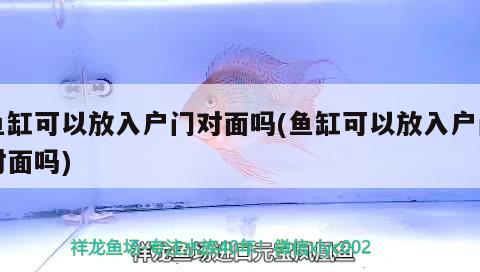 魚缸可以放入戶門對面嗎(魚缸可以放入戶門對面嗎)