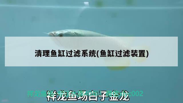 清理魚缸過濾系統(tǒng)(魚缸過濾裝置)