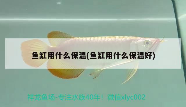 魚缸用什么保溫(魚缸用什么保溫好)