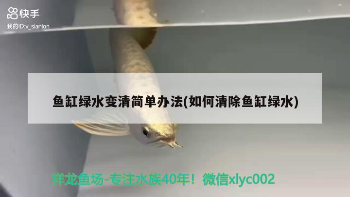 邯鄲哪里賣魚缸過濾棉的（邯鄲哪里賣魚缸過濾棉的多）