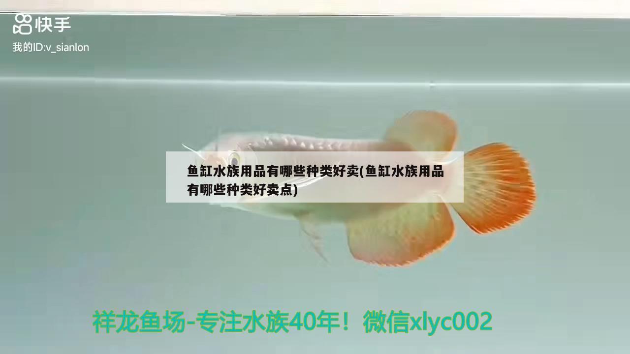 哈爾濱觀賞魚市場視頻介紹大全 哈爾濱觀賞魚市場視頻介紹大全最新 森森魚缸 第1張