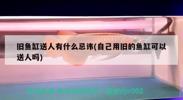 舊魚缸送人有什么忌諱(自己用舊的魚缸可以送人嗎) 白寫錦鯉魚