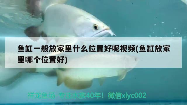 魚缸一般放家里什么位置好呢視頻(魚缸放家里哪個位置好)