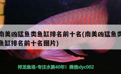 魚(yú)缸造景石一般是哪種石頭，掘政園門(mén)票多少錢(qián)