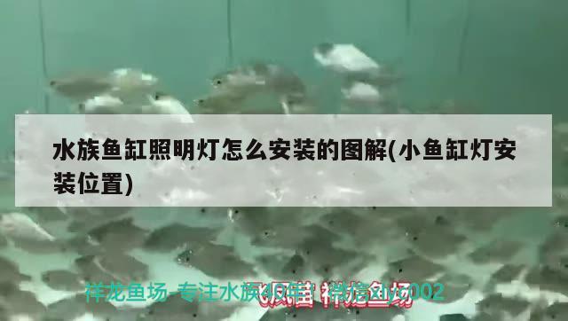 水族魚缸照明燈怎么安裝的圖解(小魚缸燈安裝位置) 祥龍赫舞紅龍魚