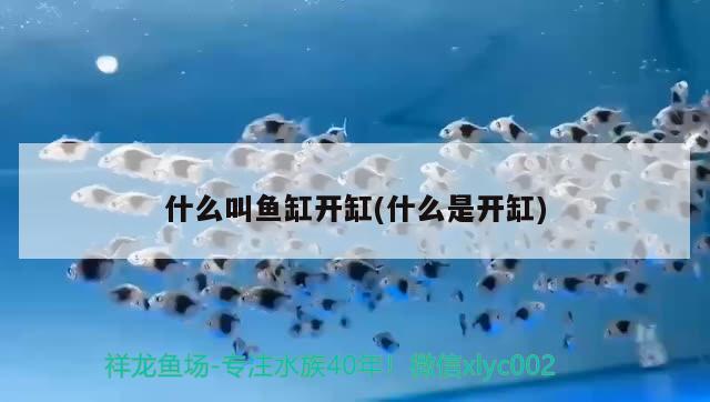 太原市萬柏林區(qū)晉宏偉水族器材店 全國水族館企業(yè)名錄