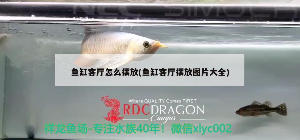 魚(yú)缸客廳怎么擺放(魚(yú)缸客廳擺放圖片大全)