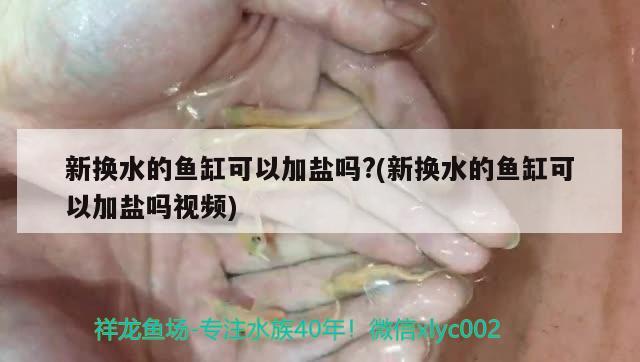 長治魚缸批發(fā)市場在哪里有賣魚的地方啊：長治魚缸批發(fā)市場在哪里有賣魚的地方啊多少錢