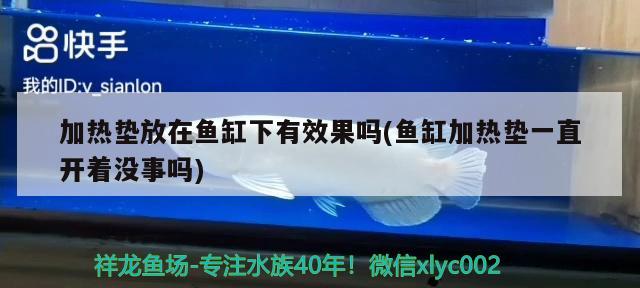 加熱墊放在魚缸下有效果嗎(魚缸加熱墊一直開著沒事嗎) 丹頂錦鯉魚