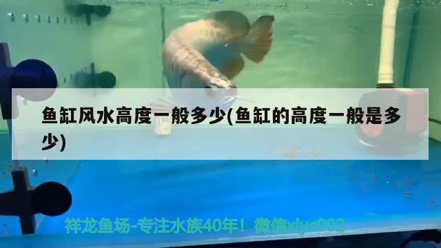 魚(yú)缸風(fēng)水高度一般多少(魚(yú)缸的高度一般是多少) 魚(yú)缸風(fēng)水