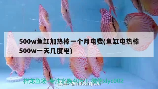 500w魚缸加熱棒一個月電費(魚缸電熱棒500w一天幾度電)