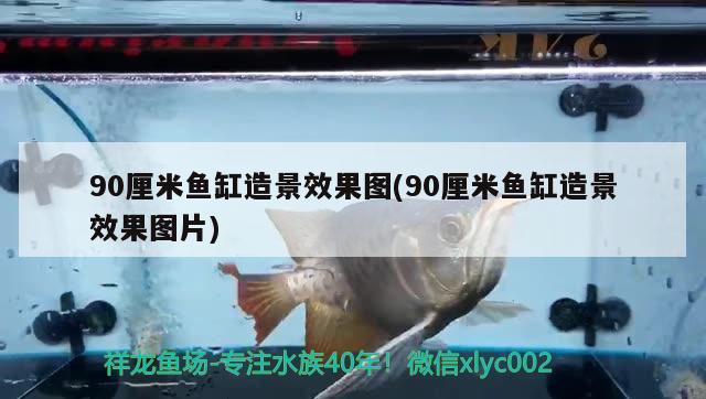 90厘米魚缸造景效果圖(90厘米魚缸造景效果圖片)