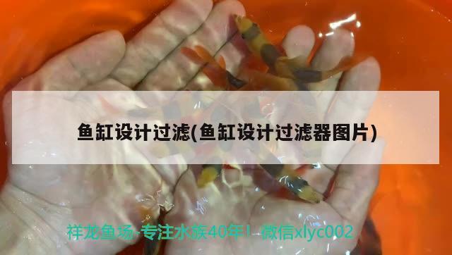 放魚(yú)養(yǎng)水是什么意思：放水養(yǎng)魚(yú)體現(xiàn)了什么哲學(xué)原理