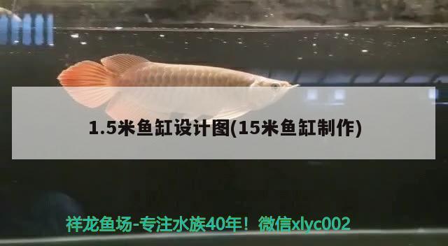 1.5米魚缸設(shè)計(jì)圖(15米魚缸制作) 黑帝王魟魚